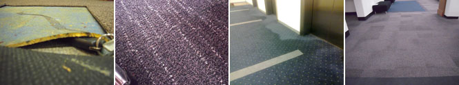 Carpet Inspections : Carpet Cleaner : Commercial and Domestic Carpet Cleaning : Upholstery Cleaning : Water Damage Repair : Mould Problems : Camden : Narellan : Campbelltown : Sydney : Southern Highlands