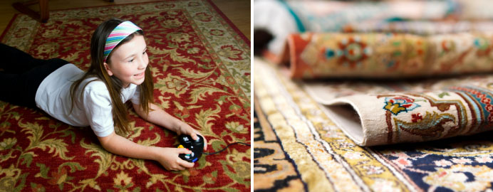 Carpet Cleaner : Commercial and Domestic Carpet Cleaning : Upholstery Cleaning : Water Damage Repair : Mould Problems : Camden : Narellan : Campbelltown : Sydney : Southern Highlands